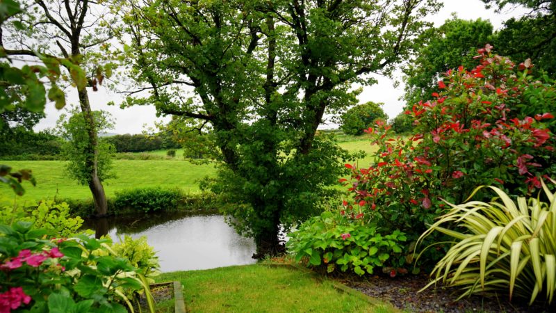 Dom i ogród – akcesoria ogrodowe do aranżacji ogrodu