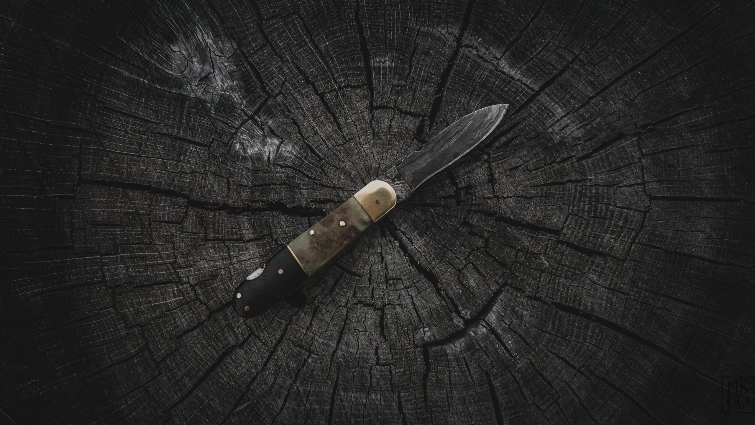 Noże Muela – prawdziwie męski gadżet